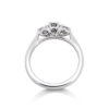Image of a Brilliant Cut 0.50ct Diamond Three Stone Ring in platinum