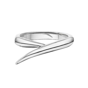 Image of a ring